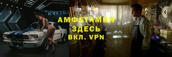 прущие грибы Магадан