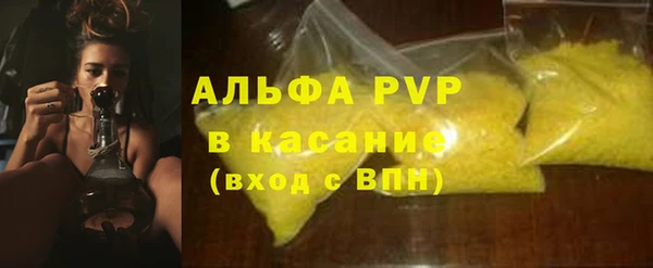 прущие грибы Магадан