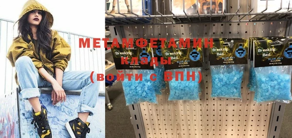 прущие грибы Магадан