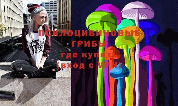 прущие грибы Магадан