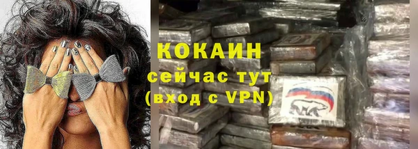 прущие грибы Магадан