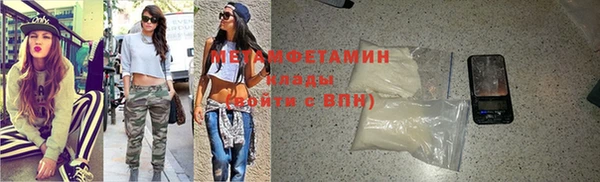 прущие грибы Магадан